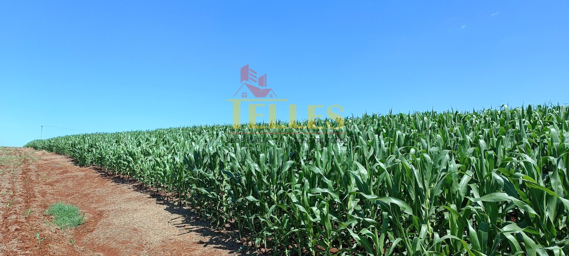 Chacára em Formosa do Oeste - Foto 4
