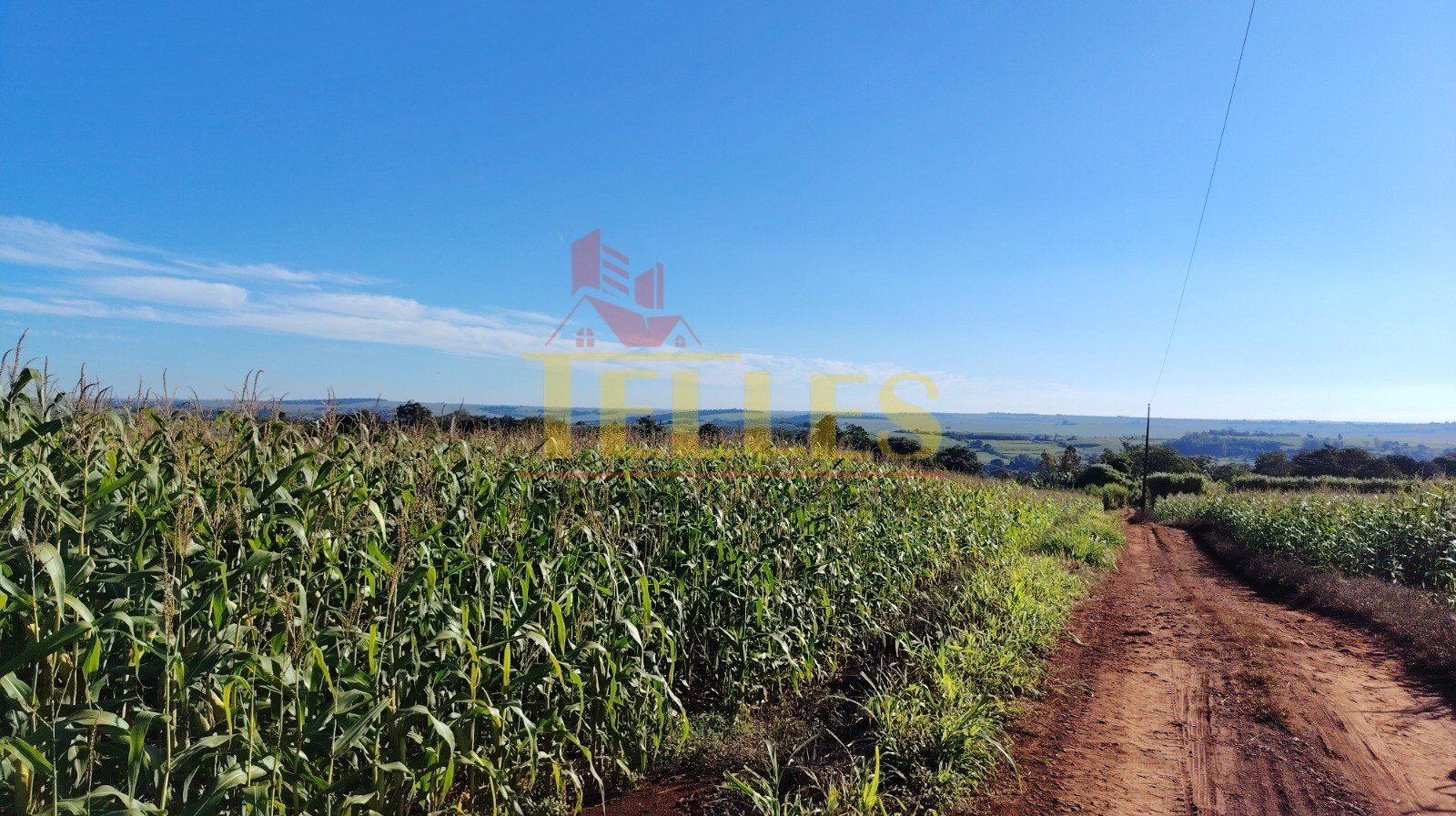 Sítio na Estrada Botucatu - Foto 4