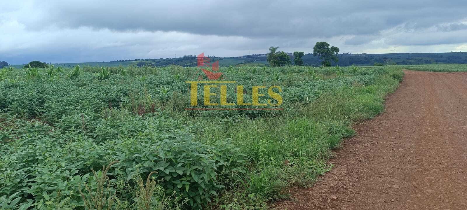 Sítio na Estrada Ipê em Jesuitas