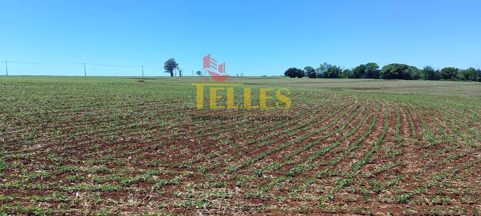 Chácara em Formosa do Oeste - Foto 2