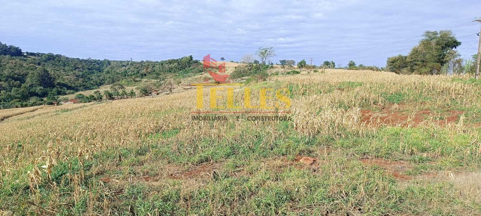 Sítio 5,00 alqueires em Jesuítas - Foto 2