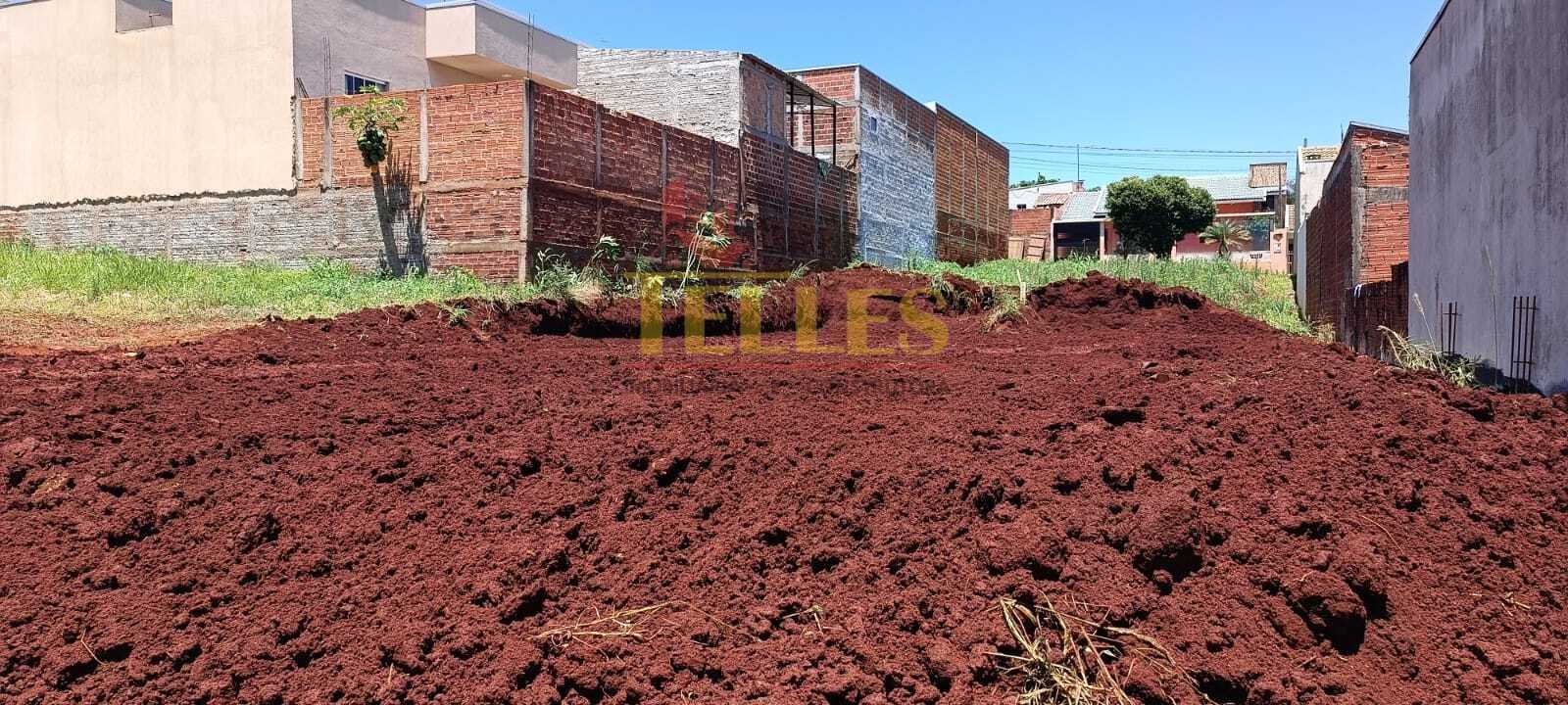 Terreno na Papa São Silvestre - Foto 2