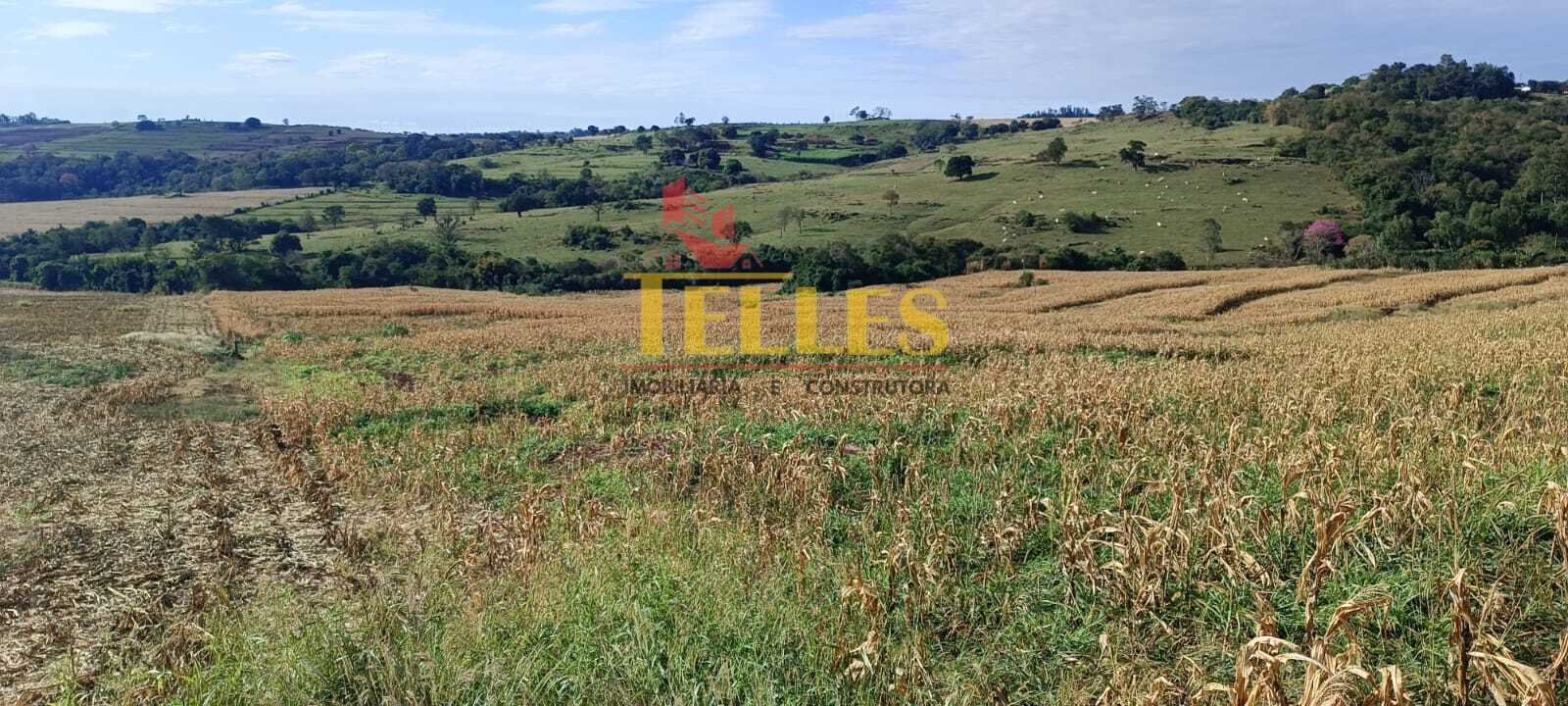 Sítio 5,00 alqueires em Jesuítas