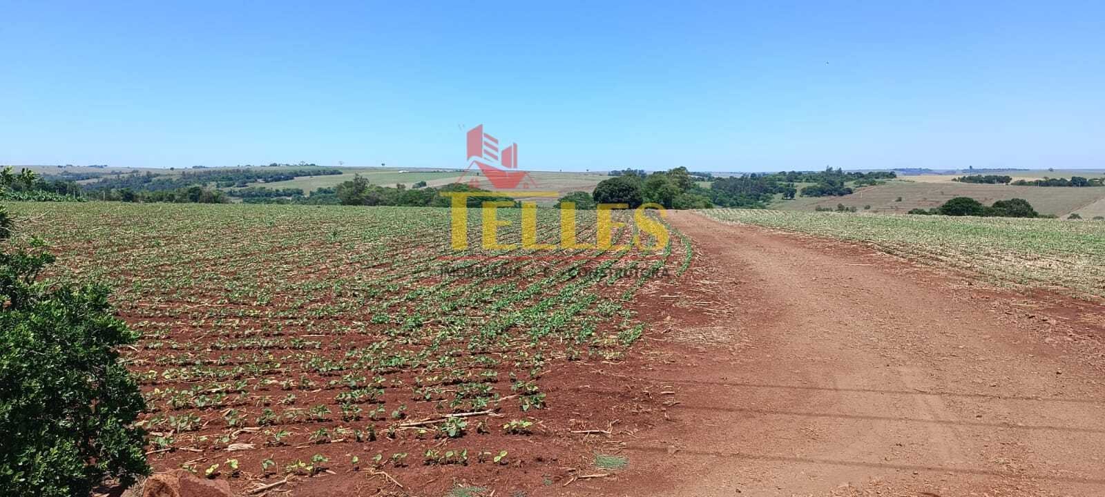 Chácara em Formosa do Oeste - Foto 6