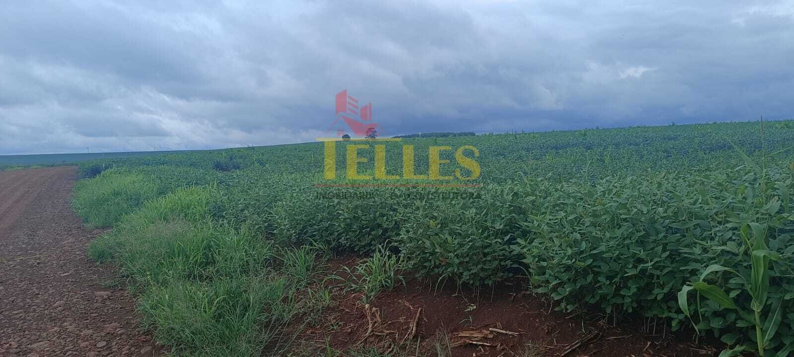 Sítio na Estrada Ipê em Jesuitas - Foto 7
