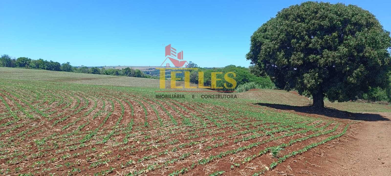 Chácara em Formosa do Oeste - Foto 5