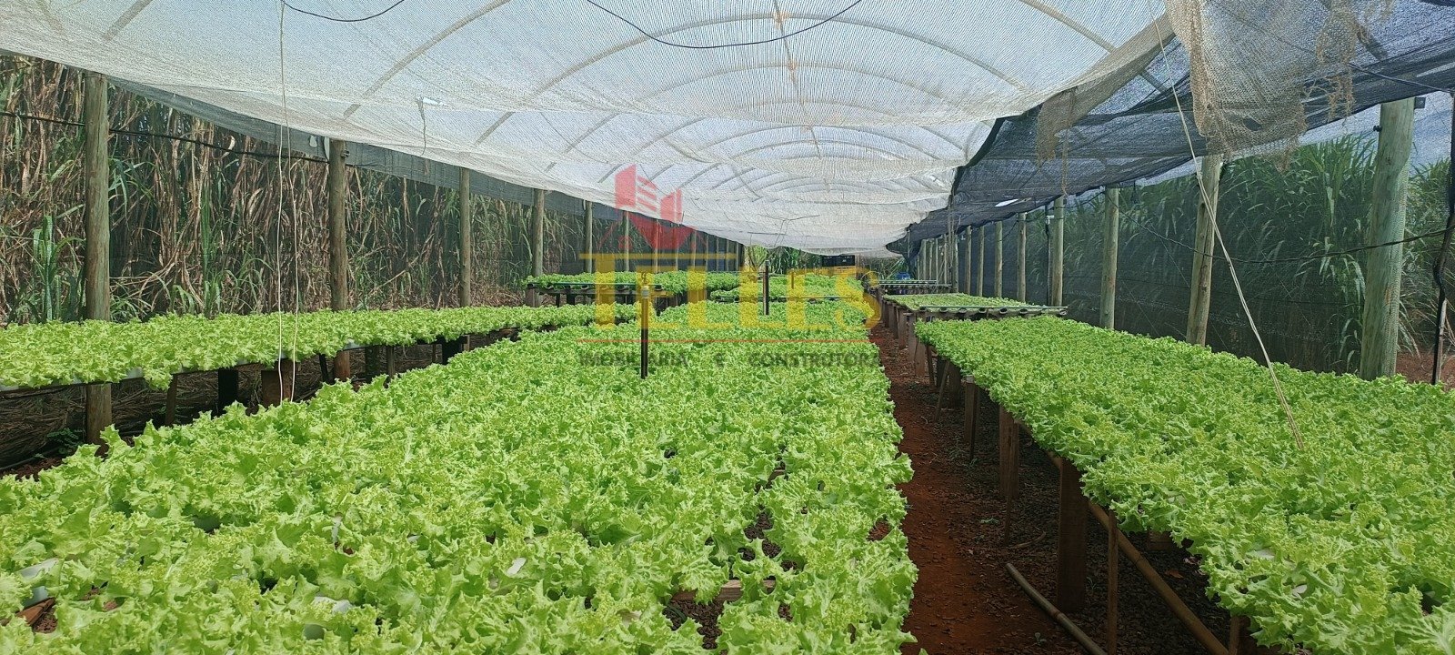 Chácara 4,5 Alqueires Paulistas - Foto 7
