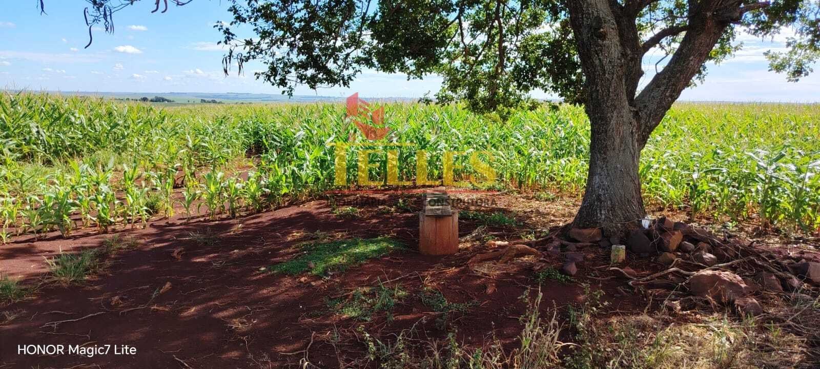 Sítio na Estrada Andirá, Jesuítas